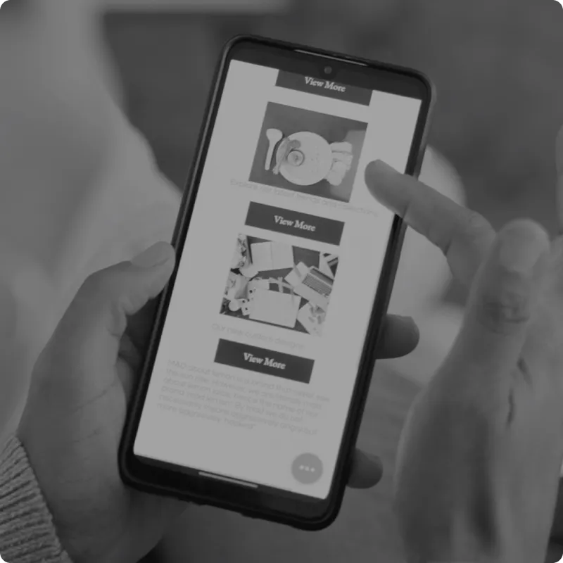 Woman searching for a product online on mobile 2